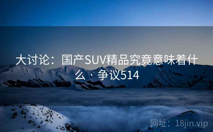 大讨论：国产SUV精品究竟意味着什么 · 争议514  第1张